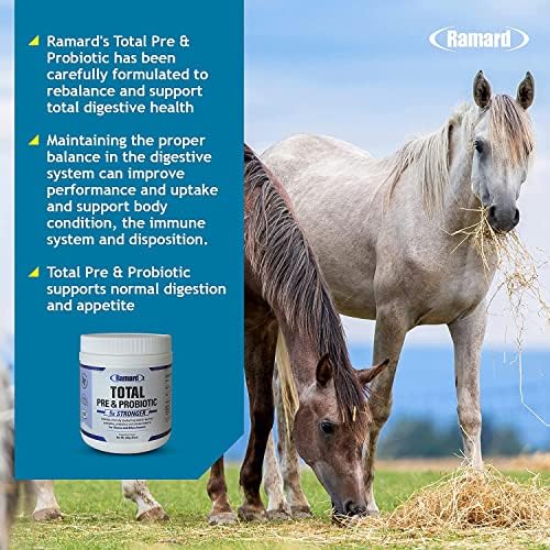 Ramard Total Пребиотическая формула за коне и Кръвни течности, за да компенсирате мускулна маса Състезателни коне — по-Добра добавка