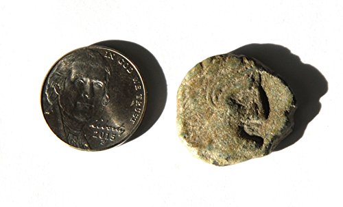 Древна монета Испания, чеканившаяся при Рим, Кармо (Севиля) 80-50 г. пр. хр Два зърнени колоса 1 Монета е Много добра